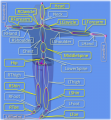 Thumbnail for version as of 10:57, 3 April 2015